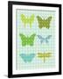 Butterflies II-Patty Young-Framed Art Print