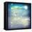 Butterflies In A Fantasy Moonligt Landscape-Melpomene-Framed Stretched Canvas