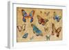 Butterflies in Flight-Anna Polanski-Framed Art Print