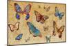 Butterflies in Flight-Anna Polanski-Mounted Art Print