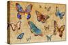 Butterflies in Flight-Anna Polanski-Stretched Canvas