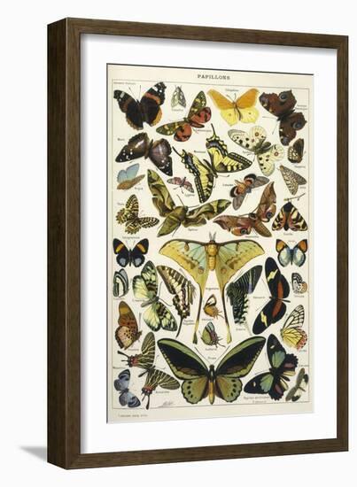 Butterflies in Larousse-null-Framed Art Print