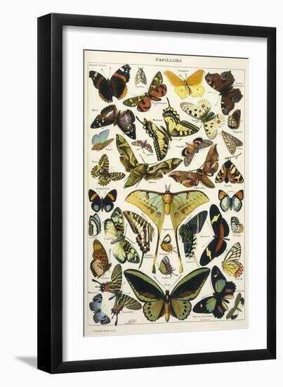 Butterflies in Larousse-null-Framed Art Print