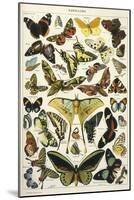 Butterflies in Larousse-null-Mounted Art Print