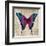 Butterflies IV-Tandi Venter-Framed Art Print