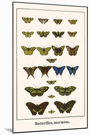 Butterflies, Mormons,-Albertus Seba-Mounted Art Print