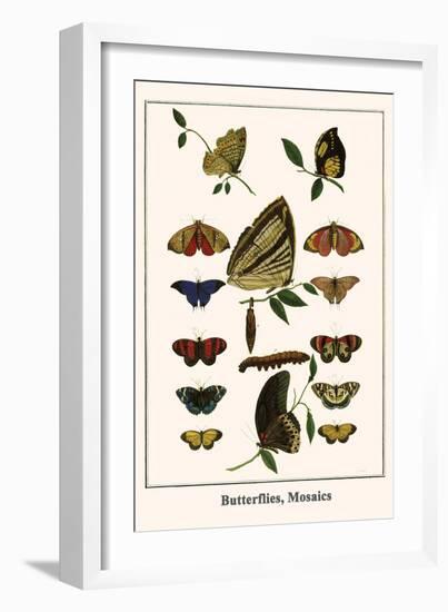 Butterflies, Mosaics-Albertus Seba-Framed Art Print