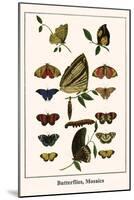 Butterflies, Mosaics-Albertus Seba-Mounted Art Print