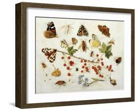 Butterflies, Moths and Other Insects with a Snail and a Sprig of Redcurrants, 1680-Jan Van Kessel-Framed Giclee Print