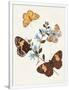 Gramercy White