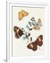Gramercy White