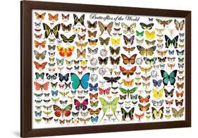 Butterflies of the World-null-Framed Poster