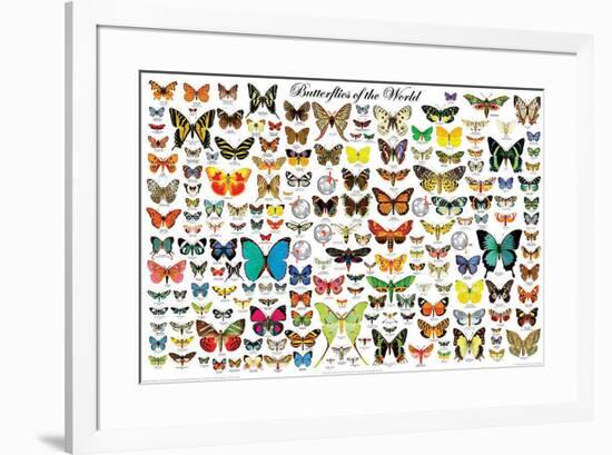 Butterflies of the World-null-Framed Poster