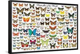 Butterflies of the World-null-Framed Poster