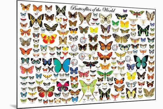 Butterflies of the World-null-Mounted Poster