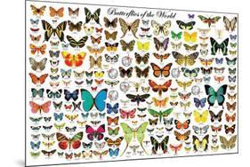 Butterflies of the World-null-Mounted Poster