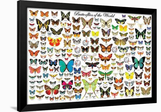 Butterflies of the World-null-Framed Poster