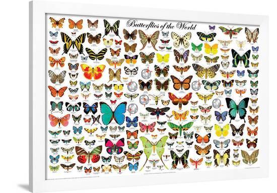Poster, , large