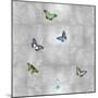 Butterflies on Silver I-Tina Blakely-Mounted Art Print