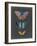 Butterflies on Slate III-Naomi McCavitt-Framed Art Print