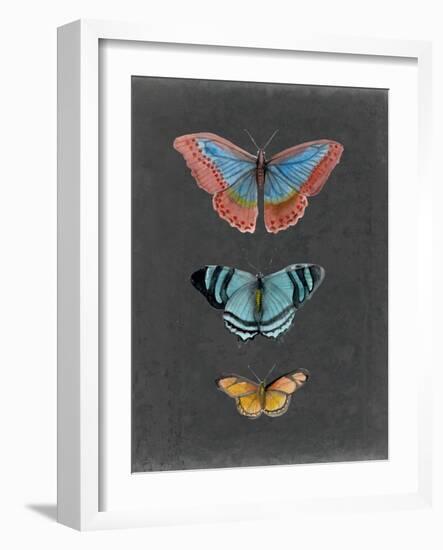 Butterflies on Slate III-Naomi McCavitt-Framed Art Print