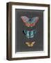 Butterflies on Slate III-Naomi McCavitt-Framed Art Print