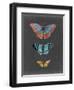 Butterflies on Slate III-Naomi McCavitt-Framed Art Print