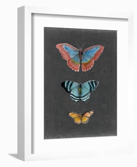 Butterflies on Slate III-Naomi McCavitt-Framed Art Print