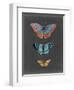 Butterflies on Slate III-Naomi McCavitt-Framed Art Print