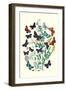 Butterflies: P. Euphemus, P. Cyllarus-William Forsell Kirby-Framed Art Print