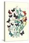 Butterflies: P. Euphemus, P. Cyllarus-William Forsell Kirby-Stretched Canvas
