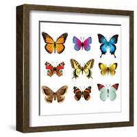 Butterflies Photo-Realistic Vector Set-andegro4ka-Framed Art Print