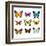 Butterflies Photo-Realistic Vector Set-andegro4ka-Framed Art Print