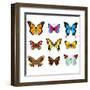 Butterflies Photo-Realistic Vector Set-andegro4ka-Framed Art Print