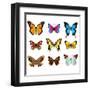 Butterflies Photo-Realistic Vector Set-andegro4ka-Framed Art Print