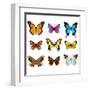 Butterflies Photo-Realistic Vector Set-andegro4ka-Framed Art Print