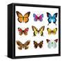 Butterflies Photo-Realistic Vector Set-andegro4ka-Framed Stretched Canvas