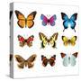 Butterflies Photo-Realistic Vector Set-andegro4ka-Stretched Canvas