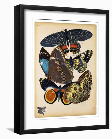 Butterflies Plate 10-null-Framed Giclee Print