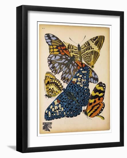 Butterflies Plate 11-null-Framed Giclee Print
