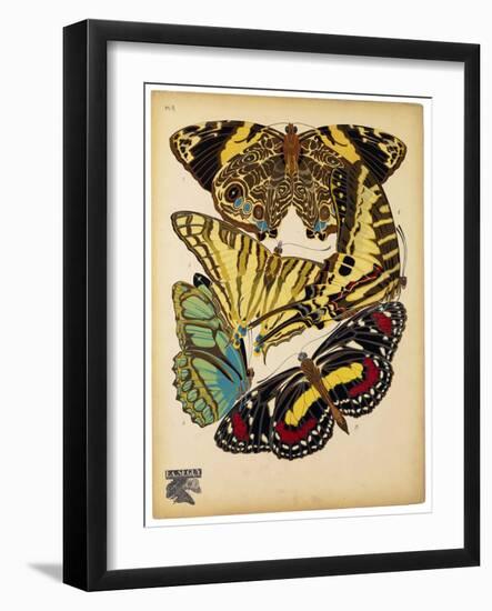 Butterflies Plate 13-null-Framed Giclee Print