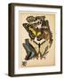 Butterflies Plate 14-null-Framed Giclee Print