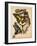 Butterflies Plate 14-null-Framed Giclee Print