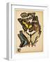 Butterflies Plate 14-null-Framed Giclee Print