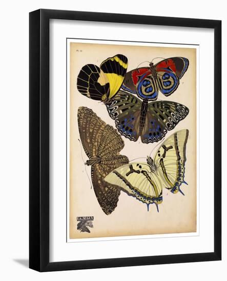 Butterflies Plate 3-null-Framed Giclee Print