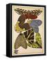 Butterflies Plate 5-null-Framed Stretched Canvas