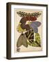 Butterflies Plate 5-null-Framed Giclee Print