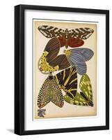 Butterflies Plate 5-null-Framed Giclee Print