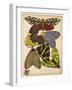 Butterflies Plate 5-null-Framed Giclee Print