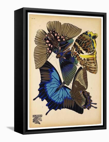 Butterflies Plate 9-null-Framed Stretched Canvas